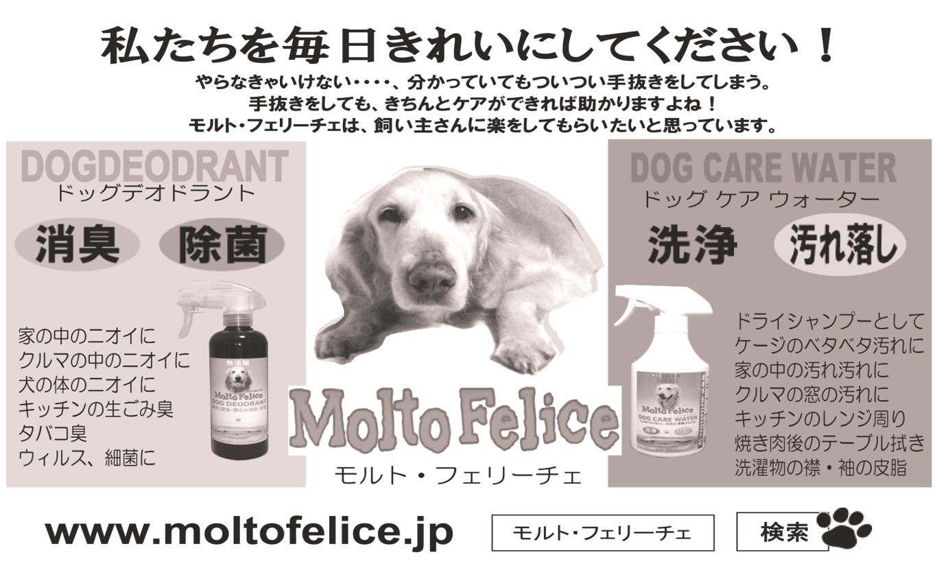 スポンサーA